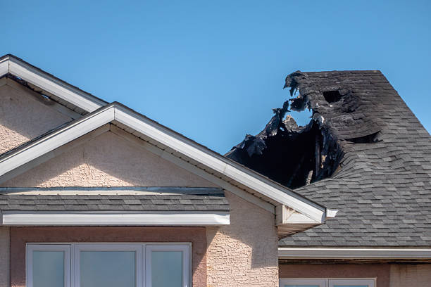 Top rated local Board Up Services specialists in Welch, MN